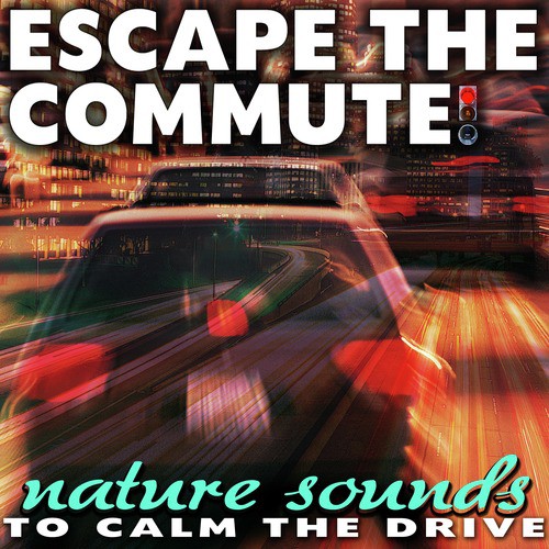 Escape the Commute! Nature Sounds to Calm the Drive