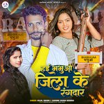 Hae Bhabhua Jila Ke Rangdar (Viral Song)