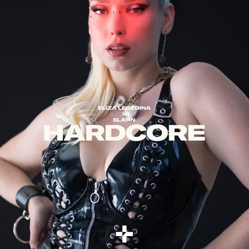 Hardcore_poster_image