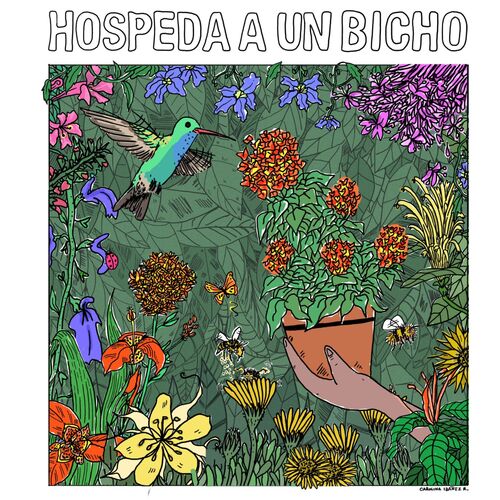 Hospeda a un bicho_poster_image