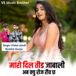 Maro Dil Taud Jabali Ab kyu Roj Rauv Chh