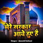 Mere Sarkar Aye Huye Hai