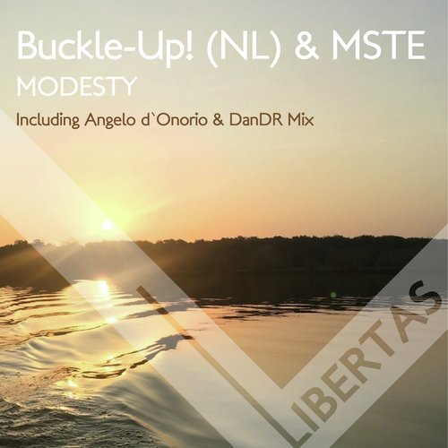 Modesty (Angelo d`Onorio Mix) cover art