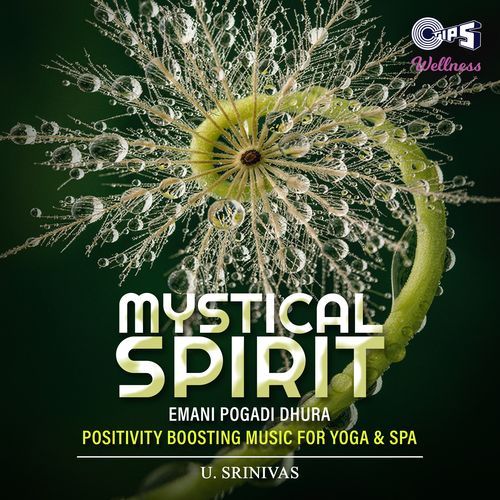 Mystical Spirit