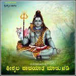 Nadi Nadi Modala Hogunu Shrishail Padayatre