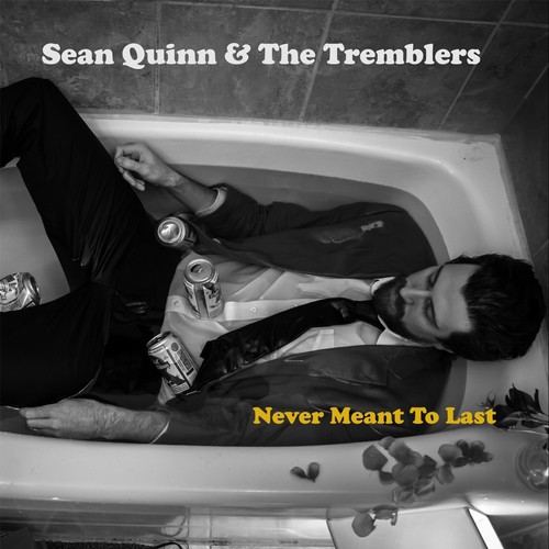 Never Meant to Last