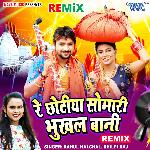 Re Chhotiya Somari Bhukhal Bani - Remix