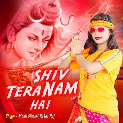 Shiv Tera Nam Hai