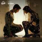 Sorry artwork