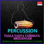 Taala Vadya Vaibhava Mridangam