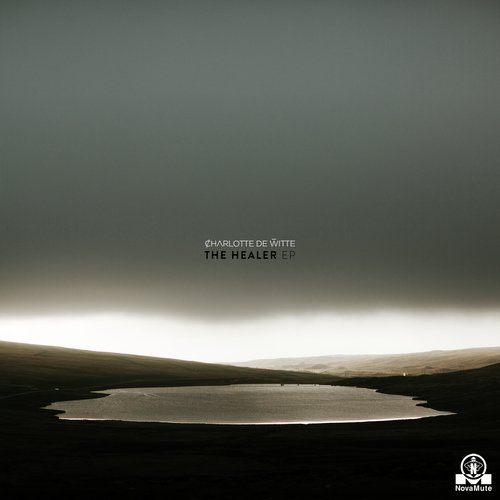 The Healer cover art