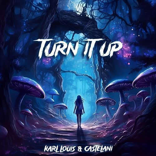 Turn It Up_poster_image