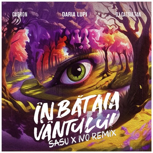 În bătaia văntului (SASU &amp; IVO Remix)_poster_image