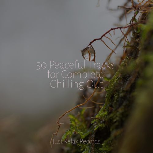 50 Peaceful Tracks for Complete Chilling Out_poster_image