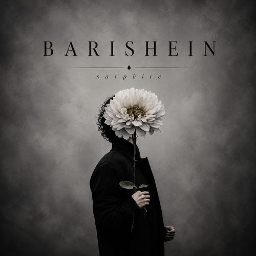 Barishein