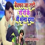 Bewafa Ja Tujhe Ro Ro Ke Bhula Dunga