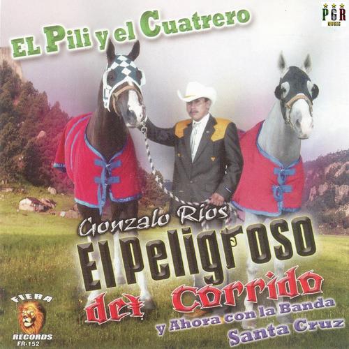 El Guero Ft. Banda Santa Cruz cover art