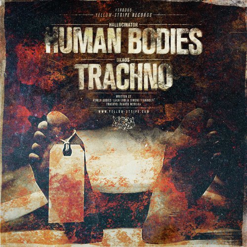 Human Bodies