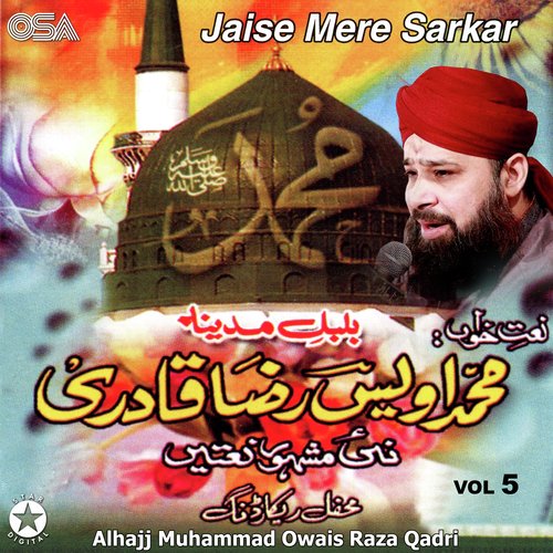 Jaise Mere Sarkar, Vol. 5_poster_image