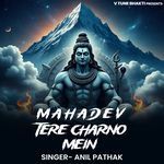 Mahadev Tere Charno Mein
