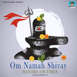 Om Namah Shivay Mantra 108 Times-CQFSHB96VWU