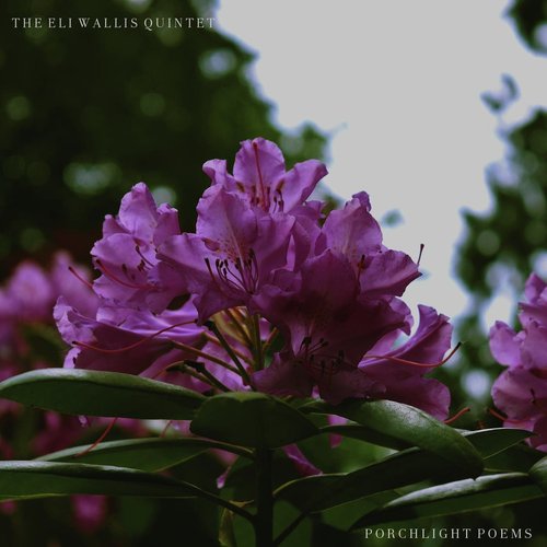 Dusk Pustules cover art
