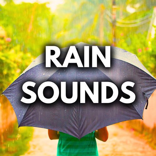 Recording of Rain Downpour (Loopable Rain Sounds)_poster_image