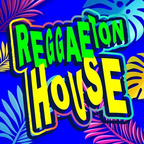 Reggaeton House