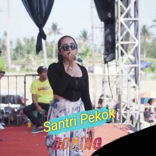 Santri Pekok