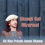 Shandi Gul Mizarwal