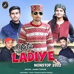 Shetu Ladiye artwork