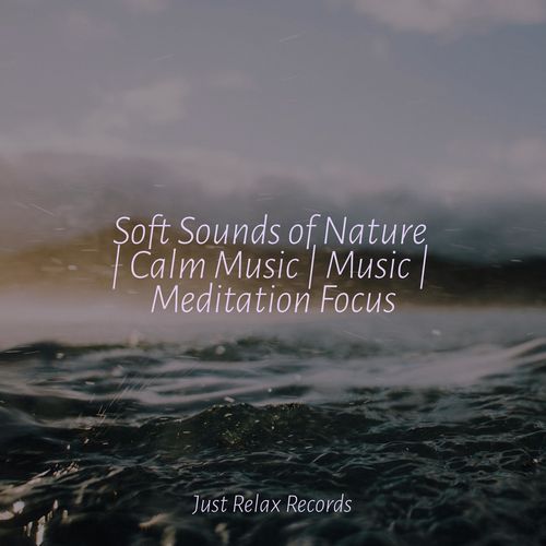 Soft Sounds of Nature | Calm Music | Music | Meditation Focus