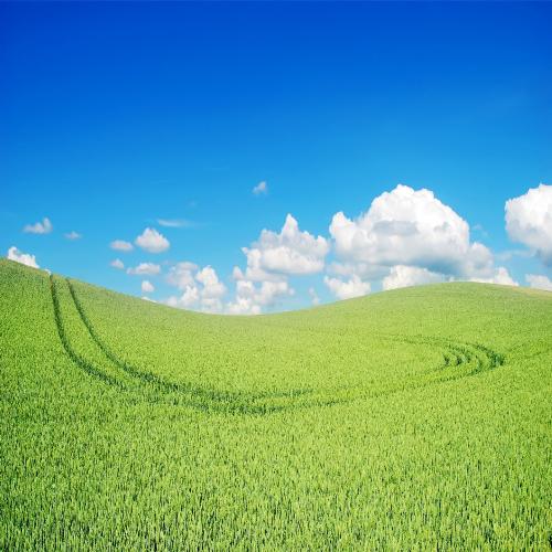Musica de Piano cover art
