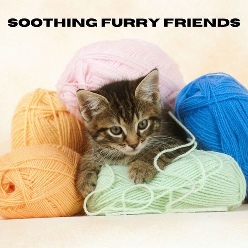 Soothing Furry Friends_poster_image