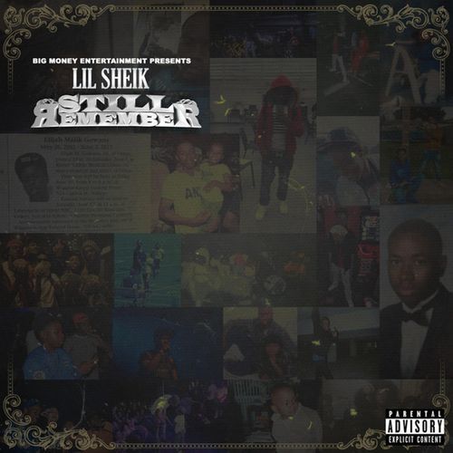 Cannon cover art