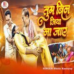 Tum Bin Jiya Na Jaye