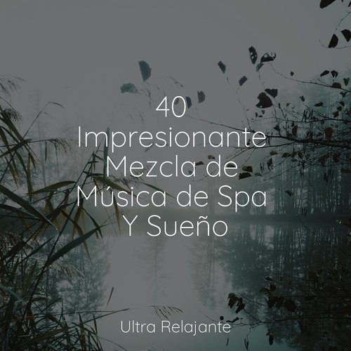 40 Impresionante Mezcla de Música de Spa Y Sueño