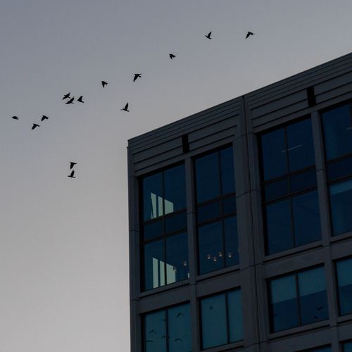 5 PM