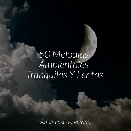 50 Melodías Ambientales Tranquilas Y Lentas