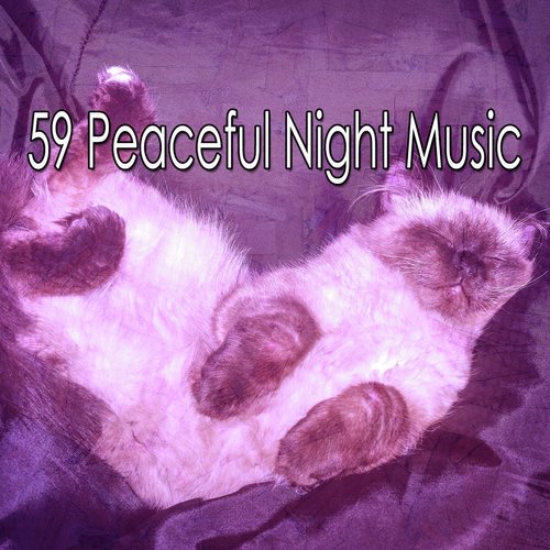 59 Peaceful Night Music