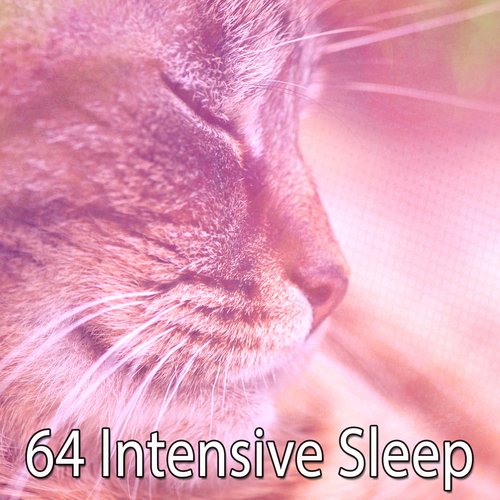 64 Intensive Sle - EP