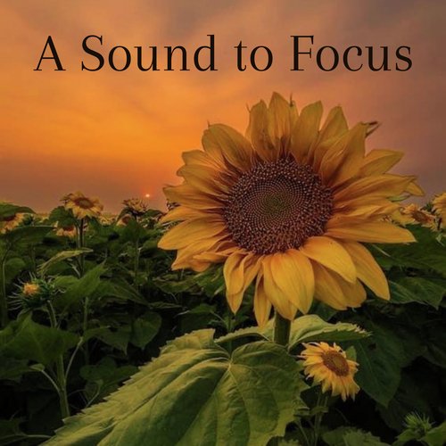 A Sound to Focus