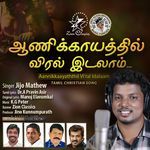 Aannikkaayathil Vi'ral Idalaam