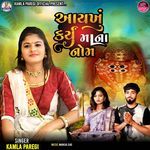 Aaykhu Karyu Mana Nom