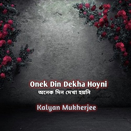 Anek Din Dekha Hoyni
