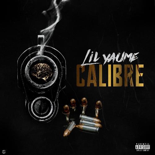 Calibre cover art