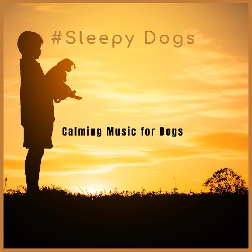 Calming Music for Dogs