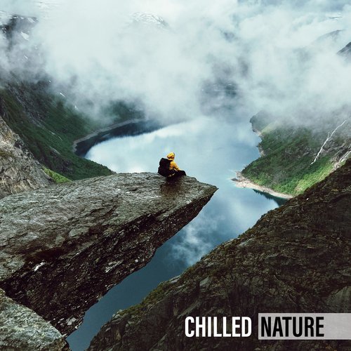 Sleep Sounds of Nature cover art