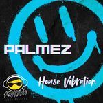 House Vibration (Original Mix)