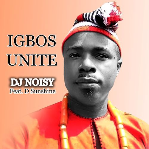 Igbo's Unite (feat. D Sunshine)_poster_image